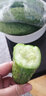 密園小農(nóng) 密云本地7寸黃瓜 新鮮蔬菜 1.5kg 曬單實拍圖