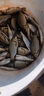 行營釣具 大吉  行龍鯉大吉五大釣竿鯉魚鯽魚臺休閑釣魚竿 5.4m 曬單實拍圖