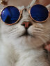 宠物猫眼镜猫咪墨镜复古酷猫搞怪拍照道具猫咪带的个性饰品小狗狗泰迪博美比熊10斤以下可带 七彩蓝 眼镜宽8cm，镜片框宽3cm（适合15斤以下宝贝） 实拍图