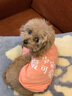 嬉皮狗（hipidog）狗狗衣服春夏款泰迪背心寵物秋冬款小型犬比熊博美小狗狗兩腿秋裝 曬單實(shí)拍圖