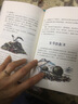 西頓動(dòng)物記斯普林菲爾德狐貍彩繪版 小學(xué)生3456年級課外閱讀書(shū)籍8-10-12歲經(jīng)典兒童文學(xué)動(dòng)物小說(shuō) 曬單實(shí)拍圖