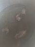 魚(yú)姐海成 海參鮮活活海參刺參活體深海海捕海鮮水產(chǎn)2-6只500g袋裝 曬單實(shí)拍圖