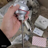 極訊 鎧裝溫度傳感器熱電偶熱電阻變送器pt100/K型傳感器探頭鉑熱電阻 插深1300mm（PT100信號(hào)） 曬單實(shí)拍圖