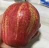 驕瑰 現(xiàn)貨陜西彩虹梨新鮮水果早酥紅梨子脆甜紅皮梨整箱 【實惠裝】中果 5斤 曬單實拍圖