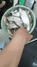 川澤伊豆有刺子線雙鉤成品綁好防纏繞魚鉤套裝全套競技野釣鯉魚鯽魚鉤 鉤8#線3.0#+鉤9#線3.0# 伊豆有刺【20付】 曬單實拍圖