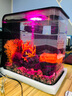 biOrbFLOW30L英國(guó)小魚(yú)缸生態(tài)桌面魚(yú)缸水族箱迷你客廳小型創(chuàng)意水族箱 黑缸MCR燈+圖片造景2 曬單實(shí)拍圖