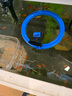 BESSN熱帶魚魚食紅蟲干孔雀魚豐年蝦金魚觀賞魚小型魚斗魚飼料冰凍魚糧 【1000毫升桶】母蟲 +80g蝦肉粉+喂食圈 1 曬單實(shí)拍圖