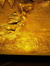 聚創(chuàng)麒 狗狗美容專(zhuān)用染發(fā)劑寵物染毛膏白色比熊博美泰迪貓咪染色 黑色款2支[60克/支] 曬單實(shí)拍圖