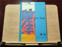 艺术的故事  贡布里希爵士经典大众艺术阅读精品图书 西方艺术史 西方美术史 外国美术简史 艺术的故事 赠：配套笔记本+飞机盒 实拍图