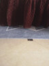 布迪思 地毯客厅地毯卧室茶几沙发毯可定制北欧简约现代满铺加厚防滑垫 新款4 160*230cm中型客厅 实拍图