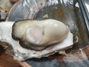 山姆大叔 乳山鮮活生蠔次日達特大牡蠣帶殼活鮮生吃海蠣子水產(chǎn)貝類(lèi)燒烤 【超大號】5XL｜單只200g起 核心產(chǎn)區丨5斤裝【超值推薦】?jì)?.5斤 曬單實(shí)拍圖