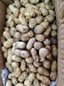 皓謙鮮花生帶殼5斤農(nóng)家自種新鮮濕花生生花生帶泥嫩花生可水煮 人工優(yōu)選家庭裝 9斤 曬單實拍圖