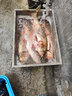 國王路亞路亞竿鐵血龍骨四代遠(yuǎn)投路亞竿單桿長尺寸大物竿翹嘴海鱸鳡魚 3.2m -MH-直柄 曬單實拍圖