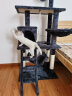 贝尼宠 猫爬架带窝 猫窝猫树 大型猫架子cat tree 猫玩具剑麻 猫爬架15斤大平台稳固155cm 实拍图