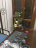 器美優(yōu)品茶具套裝景德鎮(zhèn)鑲鎏金建盞曜變天目釉功夫茶具茶壺茶杯高檔禮盒裝 7889藍菲-喜上眉梢14頭 曬單實拍圖