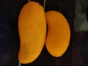 譯優(yōu)農(nóng)四川攀枝花凱特芒 新鮮水果現(xiàn)摘應(yīng)季青皮特大甜心芒果 源頭直發(fā) 帶箱9.5-10斤精選果王 曬單實(shí)拍圖