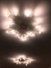 灯强 北欧风格灯具LED主卧室灯轻奢客厅大灯温馨浪漫花朵水晶吸顶灯 金色-15头-直径64cm-送三色光源 实拍图