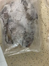 蝶島船說(shuō) 東山島冷凍白鯧魚(yú) 海捕小鯧魚(yú) 白鯧海鮮水產(chǎn) 500g/3-6只 曬單實(shí)拍圖