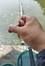 貳來(lái) 新關(guān)東魚(yú)鉤成品子線(xiàn)雙鉤手工綁好的臺釣子線(xiàn)組黑坑鯉魚(yú)鉤無(wú)倒刺 8m 黑色無(wú)刺新關(guān)東 新關(guān)東5#-子線(xiàn)5.0（長(cháng)70cm） 曬單實(shí)拍圖
