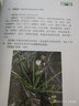 濕地高等植物圖志 曬單實(shí)拍圖