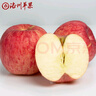 洛川蘋(píng)果陜西時(shí)令蘋(píng)果水果紅富士蘋(píng)果禮盒裝水果生鮮蘋(píng)果新鮮脆甜蘋(píng)果 【25年新果】15枚70mm紅富士洛川蘋(píng)果禮盒 曬單實(shí)拍圖