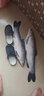 富源百川風(fēng)旗艦魚(yú)線(xiàn)主線(xiàn)超強拉力迷彩線(xiàn)斑點(diǎn)魚(yú)線(xiàn)子線(xiàn)野釣黑坑競技 主線(xiàn) 75米 -斑點(diǎn) 1.5號 曬單實(shí)拍圖