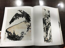 潘天壽書(shū)畫(huà)集（紀念版） 曬單實(shí)拍圖