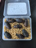 小囧家蠶蛹蜜袋鼯倉(cāng)鼠零食松鼠新鮮食物東北大蠶蛹花枝金絲熊蠶蛹卵寶寶 鮮活蠶蛹【8顆裝】冷藏保存 曬單實(shí)拍圖