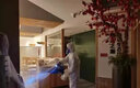 都滅順式氯氰菊酯殺蟲劑藥跳蚤殺蟑螂蒼蠅藥大面積園林速殺室內(nèi)外 1瓶 2升噴壺工具 曬單實(shí)拍圖