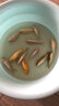 佳釣尼（JIADIAONI）橙小白螺旋尾浮漂醒目高靈敏輕口鯽魚(yú)漂淺水鰱鳙大物加粗扁尾魚(yú)漂 11號 吃鉛2.46g 大鯽大鯉3目加粗 曬單實(shí)拍圖