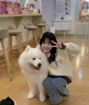 矜持范假兩件毛衣女2025新款日系秋冬寬松慵懶風(fēng)針織衫女軟儒加厚外套 米白色 薄款 M 建議95120 曬單實(shí)拍圖