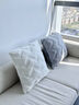 知夢(mèng)人毛絨抱枕套大號靠墊方形靠枕不含芯客廳沙發(fā)枕頭床頭靠背墊高級感 珍珠白 45x45cm（枕套+枕芯） 曬單實(shí)拍圖