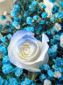 爱在此刻鲜花碎冰蓝玫瑰满天星花束送女友生日礼物同城配送 晒单实拍图