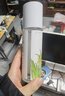 伊特露爽膚水伊特露化妝水櫻桃水滋潤保濕 櫻桃水 500ml 曬單實拍圖