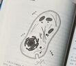 神奇的脂肪療愈力 北京科學(xué)技術(shù)出版社 (德)安妮·弗萊克 著 吳秀杰 譯 新華正版書籍包郵 曬單實(shí)拍圖