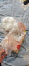 惠寻 京东自有品牌 一次性手套200只装餐饮美发手膜食品加厚手套透明 实拍图