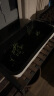 奥美优 种菜盆 长方形种植箱 塑料双层加厚自动吸水花盆种菜箱 阳台室内花卉绿植蔬菜种植盆 大号 LZ7125 实拍图