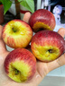 三萌果蔬煙臺蘋(píng)果棲霞紅富士新鮮水果山東特產(chǎn)脆甜蘋(píng)果當季時(shí)令送禮 5斤精品大果【單果約80mm+】?jì)糁?.5斤 曬單實(shí)拍圖
