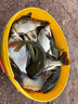 渤洋多功能不銹鋼炮臺支架桿魚竿支架釣魚支架地插萬向 藍(lán)色 2.1M（AX-04） 曬單實拍圖