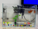 YEE鱼缸金晶超白鱼缸客厅桌面小鱼缸玻璃草缸龟缸家用小型生态金鱼缸 300*170*200【标准套餐】 实拍图