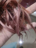 嘉瀛（JIAYING）2024年顯白粉色系染發(fā)劑流行櫻花粉西柚粉霧粉色可在家操作染發(fā)膏 粉棕色(底色7度選) 曬單實(shí)拍圖