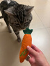 all for paws貓玩具仿真玩具自嗨貓薄荷包玩偶逗貓玩具貓咪磨牙棒的用品 胡蘿卜 曬單實(shí)拍圖