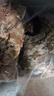 新款荒漠迷彩大衣水墨正版雙層羽絨內(nèi)膽冬季保暖戶外加厚防寒帽子 新款荒漠大衣【全套】 5XL 180/92-96 曬單實拍圖