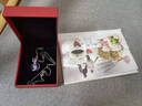 豐澤西（Fzx jewellery） 925銀吊墜項(xiàng)鏈女銀蘋(píng)果吊墜銀飾品銀吊墜送女友禮物 圣誕節(jié)禮物 蘋(píng)果吊墜+配鏈40cm 曬單實(shí)拍圖