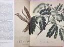 植物大發(fā)現(xiàn) 黃金時(shí)代的圖譜藝術(shù)（異步圖書出品） 曬單實(shí)拍圖