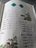 【現(xiàn)貨速發(fā)】小學(xué)國學(xué)經(jīng)典教材育靈童兒童經(jīng)典誦讀育靈童國學(xué)教材 國學(xué)第四冊二年級下冊笠翁對韻 曬單實(shí)拍圖