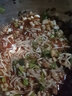 現摘金針菇新鮮菌菇蔬菜食用菌火鍋麻辣燙燒烤食材批發(fā) 新鮮金針菇帶包裝 3斤 曬單實(shí)拍圖