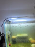 俪鱼（LIYU）锋影LED鱼缸灯 17cm 防水照明灯具 增艳全光谱太阳灯 水草灯架 高亮可潜水 实拍图
