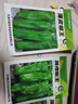 超大薄皮王辣椒種子新品種大果高產(chǎn)四季泡椒種子早熟雜交青椒種子 薄皮椒王種子 3包約600粒 曬單實(shí)拍圖