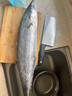潮海堂南海特大馬鮫魚(yú)海捕深海鲅魚(yú)切片馬蛟魚(yú)中段海鮮魚(yú)1斤/袋海鮮水產(chǎn) 2斤-2.5斤 一條馬鮫魚(yú) 曬單實(shí)拍圖